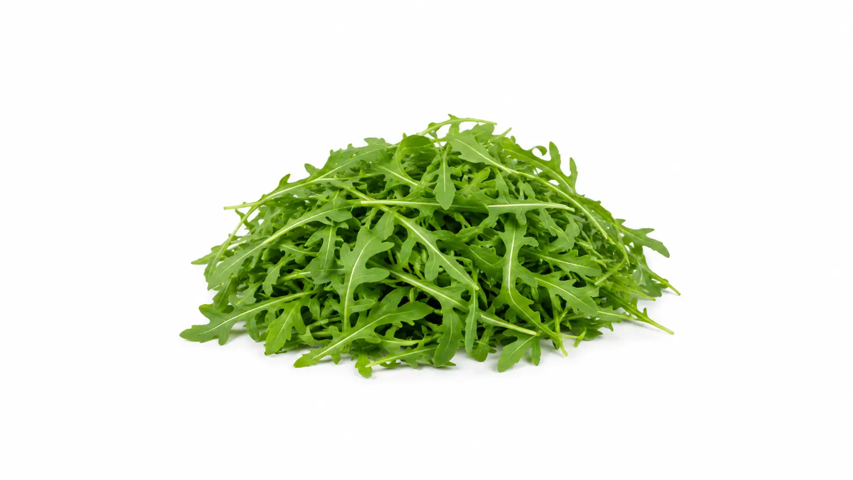 Arugula