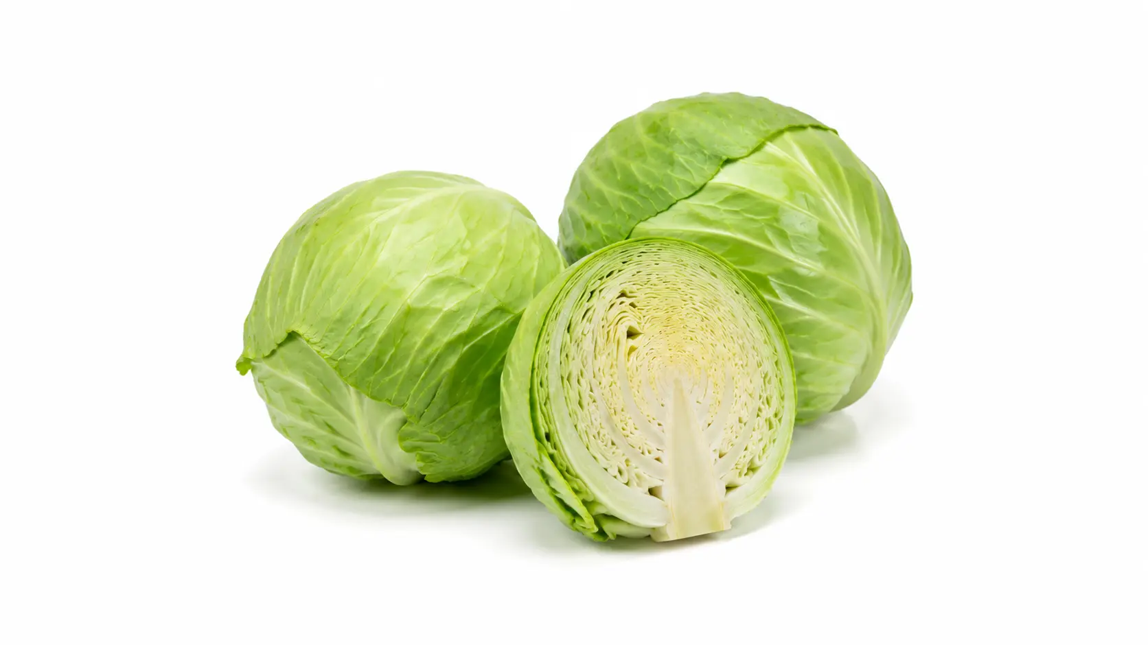 Cabbage