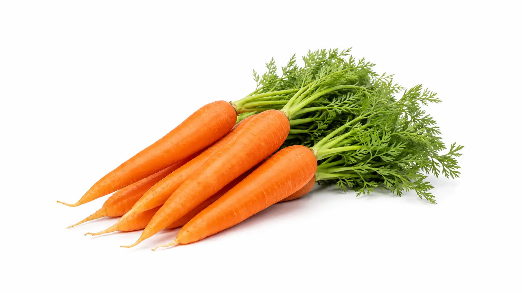 Carrots