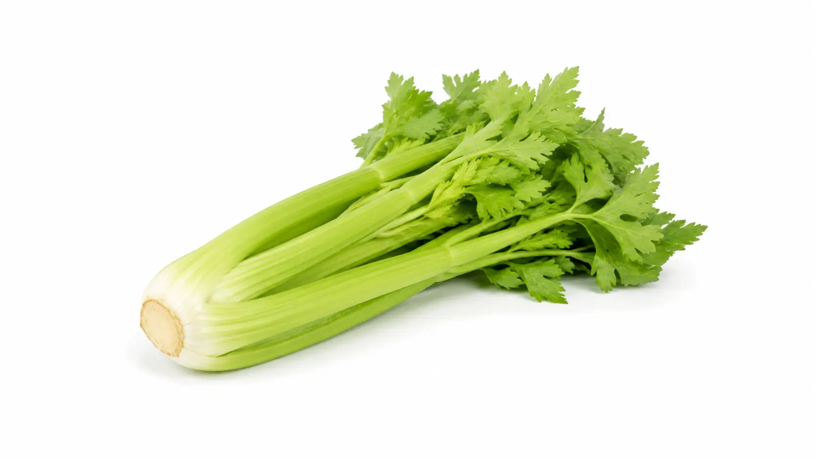 Celery