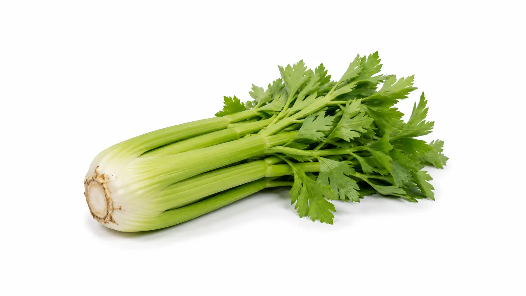 Organic Celery