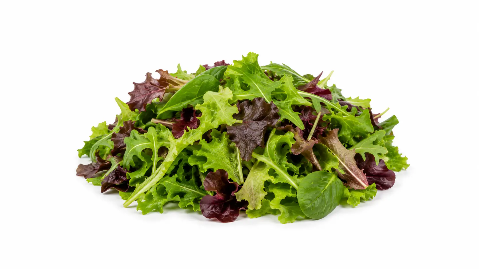 Salad Mix