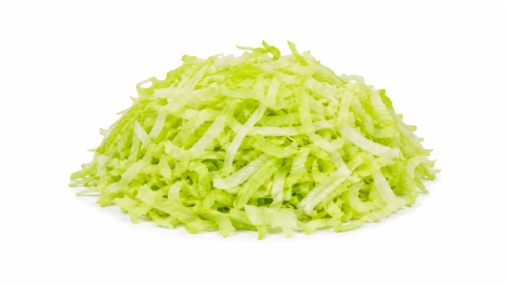 Shredded Lettuce