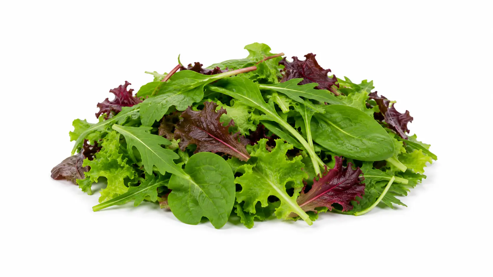 Spring Mix