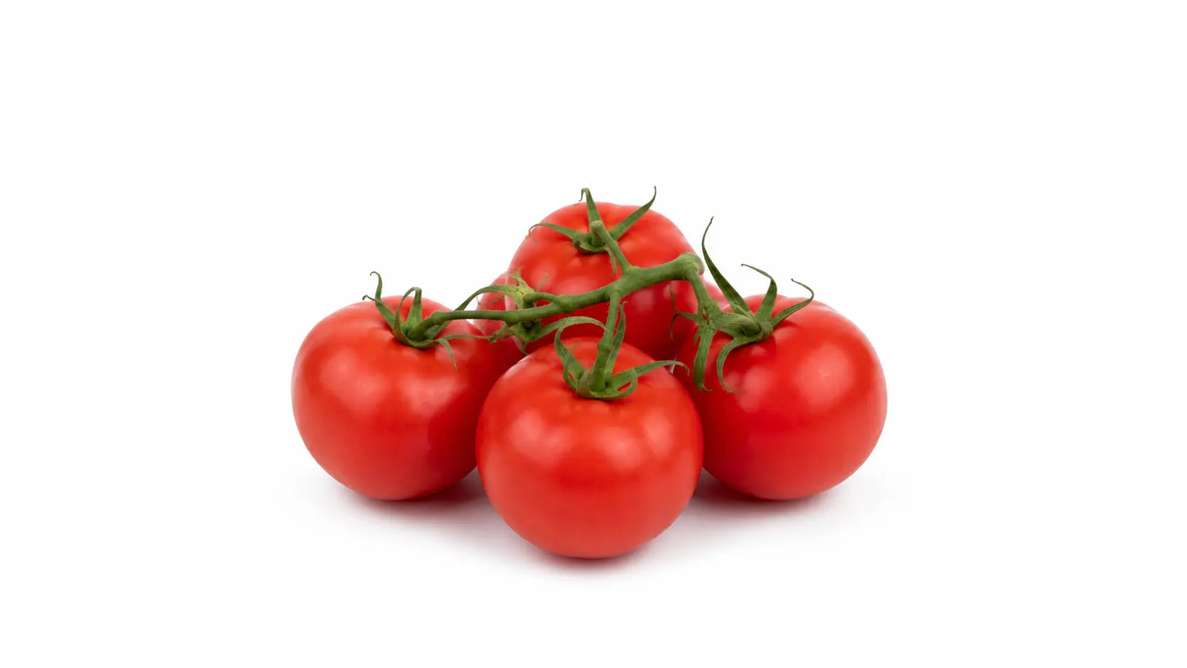 Tomatoes